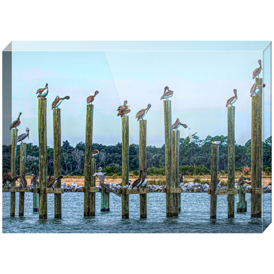 Acrylic Blocks - Just Chillin Pelicans