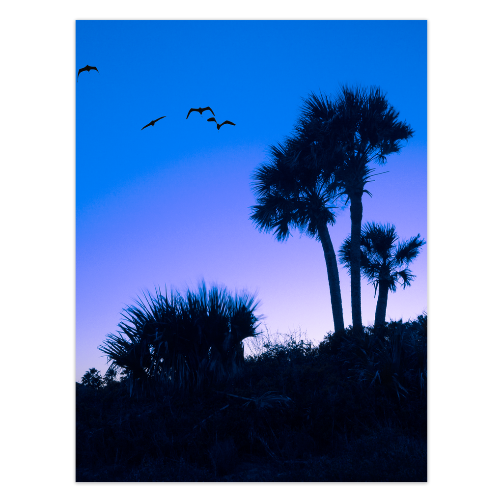Folded Cards - Matanzas Inlet Sunset – Wowza Wall Art