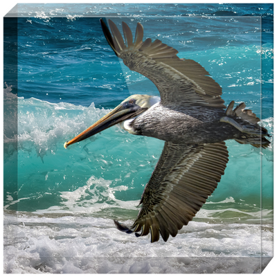 Acrylic Blocks - Pelican Beach Flight
