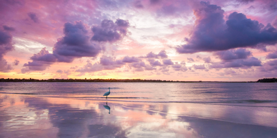 Gallery Canvas Prints - Beautiful Sunset on the beach